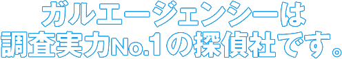 ガルエージェンシーは調査実力No.1の探偵社です。